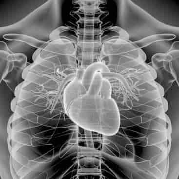 Bontempi Data Science