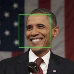 Face Recognition Bontempi